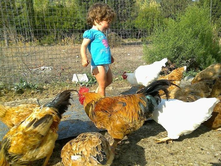 Spasmeni Vrisi Lygia  Ngoại thất bức ảnh